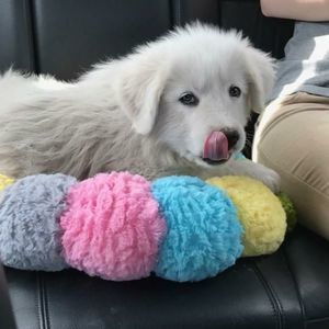 Meet your Posher, Erika